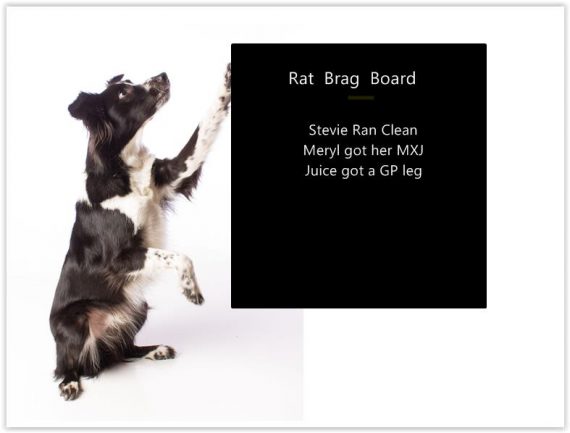 Brag Board
